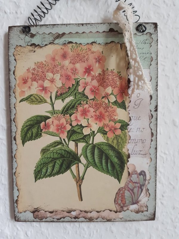 Schild Hortensien Botanik rosa mint Nostalgie