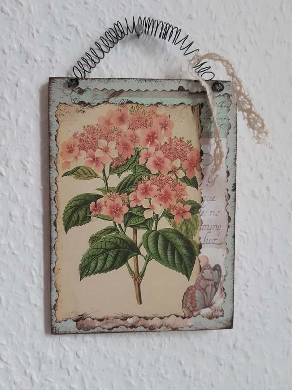 Schild Hortensien Botanik rosa mint Nostalgie